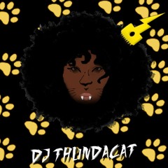 DJ Thundacat