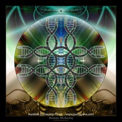 D.J Aries - Amauri Contreras