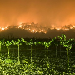 Brian Patrick Higgins