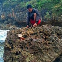 Nopex