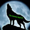 The Gaming Wolf YT