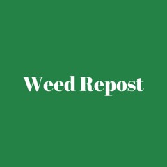 Weed Radio Repost