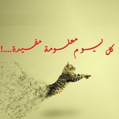 كنز المعلومات