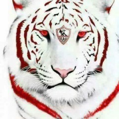 العمدة ابو فهد