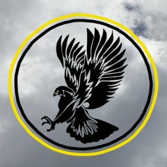Nighthawk