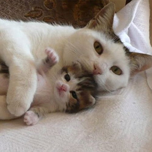 Stream Kylie Sanders music Listen to songs, albums, playlists for