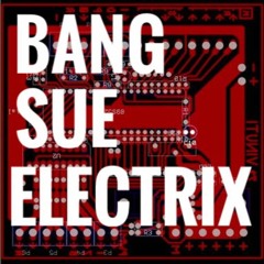 BANG SUE ELECTRIX
