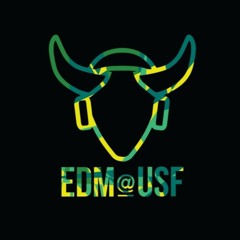 EDM Club at USF