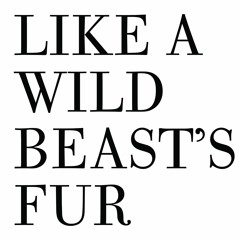 Like A Wild Beast's Fur
