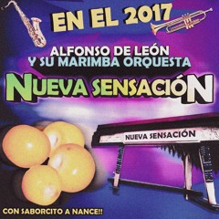 Marimba Orquesta Alfonso De León
