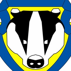 BadgerSky