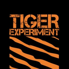 tigerexperiment