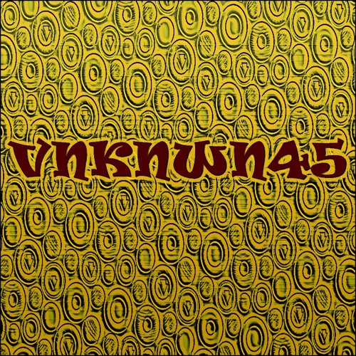 VNKNWN45’s avatar