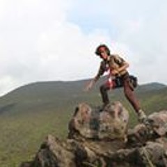 Adit Toga