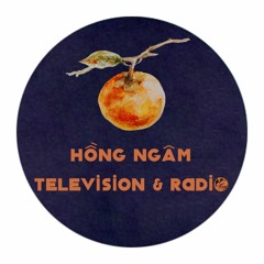 Hồng Ngâm Television & Radio