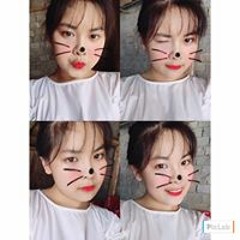 Thỏ Béoo
