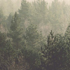 R e q // m