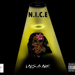 N.I.C.E