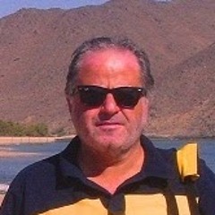 Hesham Basha