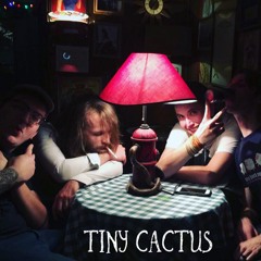 TinyCactusBand