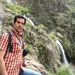 hamid