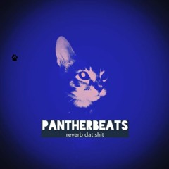 PantherBeats