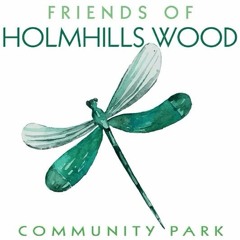 Friends of Holmhills Park