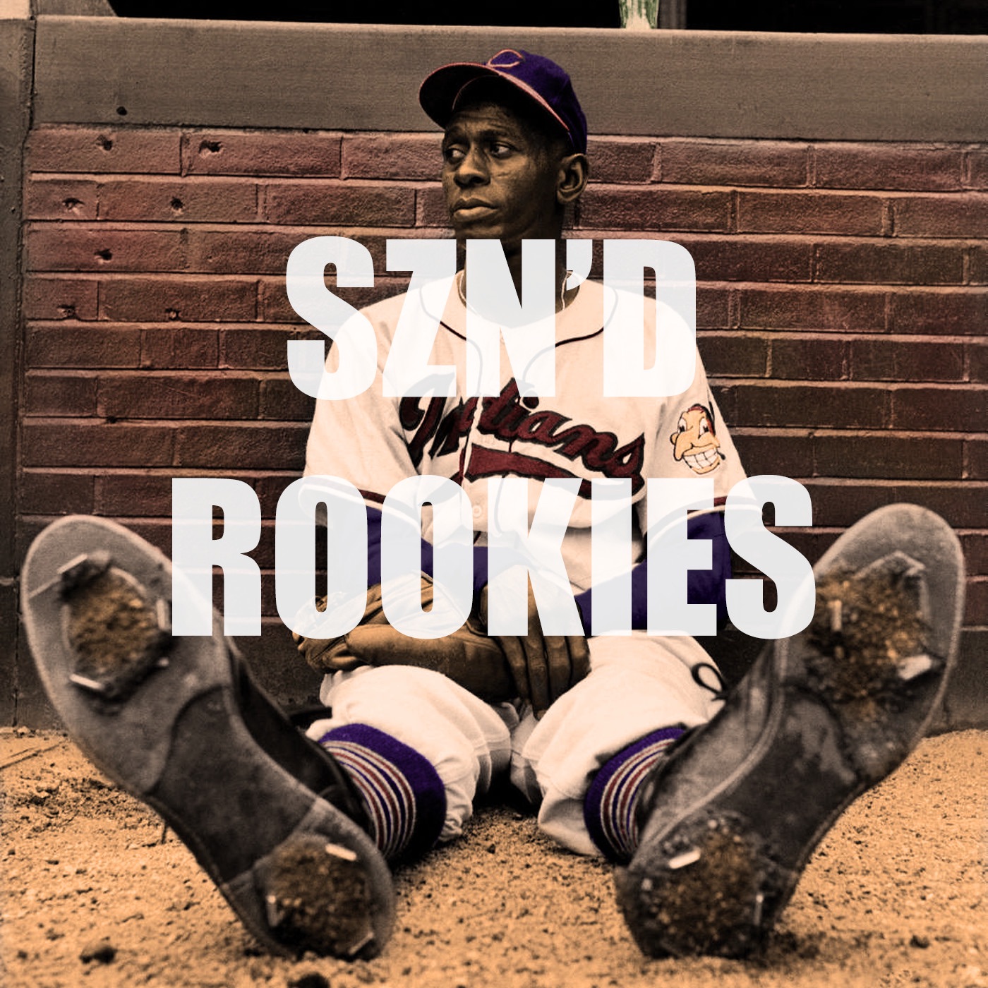 SZN'D ROOKIES podcast artwork