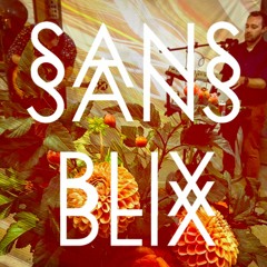Sans Blix