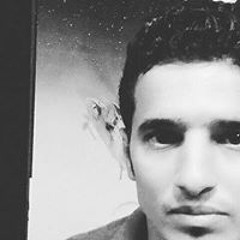 محمد المصرى