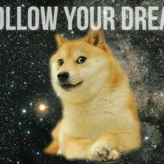 O Dog