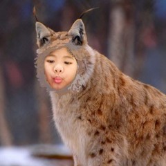 Toska jr