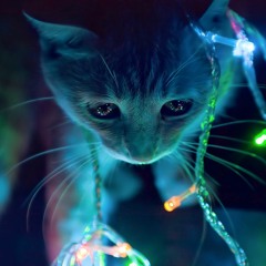 JulZZ HrdZ