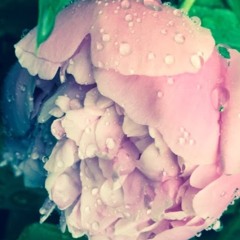 Rock N' Roll 🤘🤘