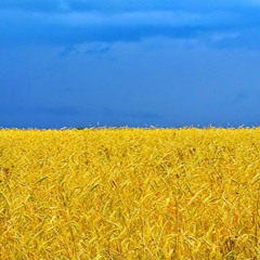 Алексей (lesha198a)