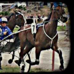 TIPSTAR Podcast Week 1 Bankroll Management