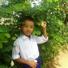 ysib