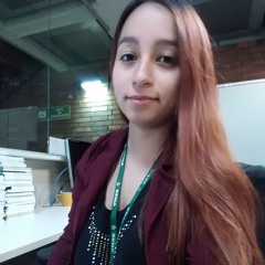 Sindy Ortiz