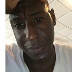 DuleeySM91