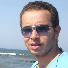 Amr Hussein