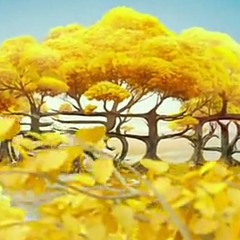 Sunkanmi
