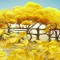 Sunkanmi