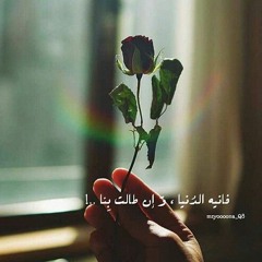mohamedd