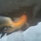 CorrvtedFish