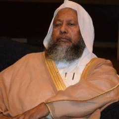 محب الشيخ محمد shaykh