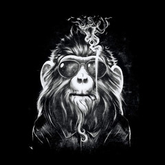 steam monkey