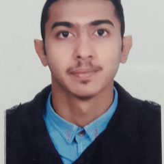 محمد القلعاوي