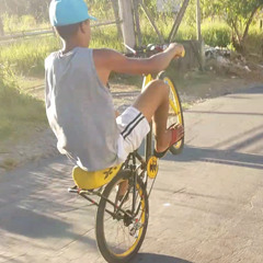 RR do grau 013