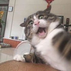 Tuyết Lê