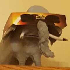 Trash Elephant